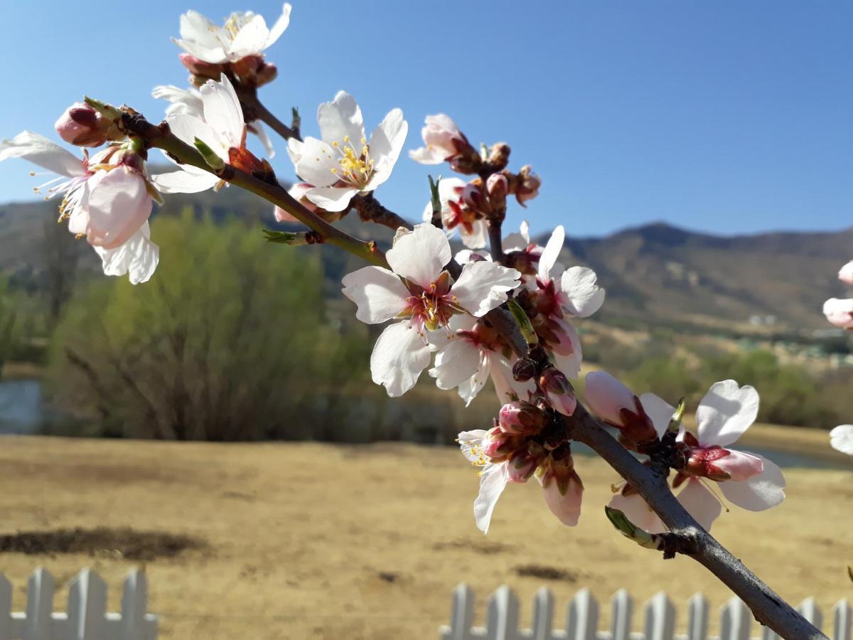 Lake Clarens Guest House Buitenkant foto