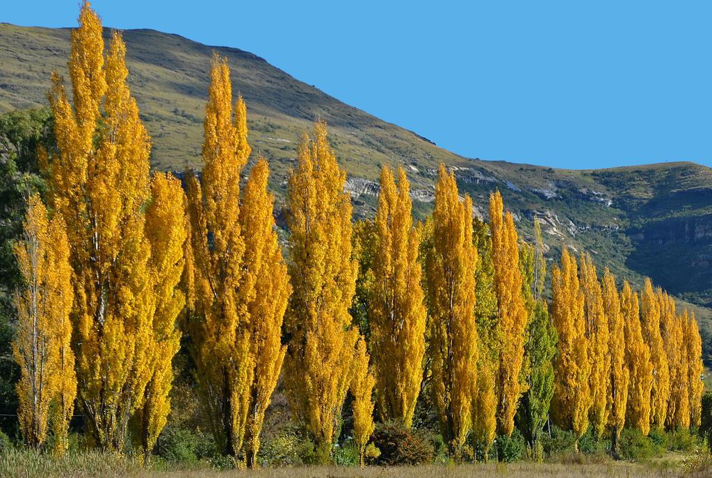 Lake Clarens Guest House Buitenkant foto